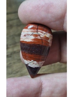 Aries 28.00CT 34.7X18.2MM Natural Pear Snake Skin Jasper