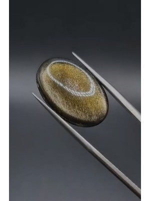 Aries 10.55CT 23.2X14.9MM  Natural Oval Altın Yansımalı Obsidyen