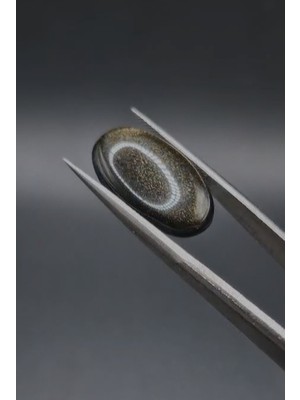 Aries 8.75CT 20.3X12.5MM  Natural  Oval Altın Yansımalı Obsidyen