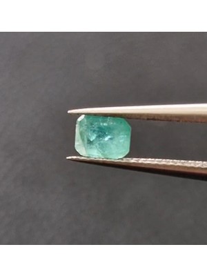 Aries 0.42CT 4.9x3.7mm Octagon Natural Emerald Zambia