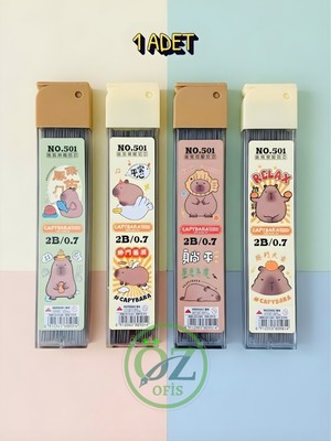 ÖZ OFİS Capybara Kapibara 100'LÜ 0.7 2b Büyük Boy Kalem Ucu Tekli