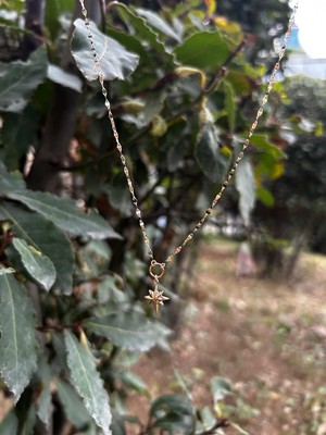 Goldium Kelebek Zincir Kutup Yıldızı Kolye