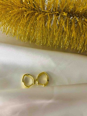 Generic 925 Ayar Gümüş Gold (Altın ) Renkli Kadın Küpe -  Model 1