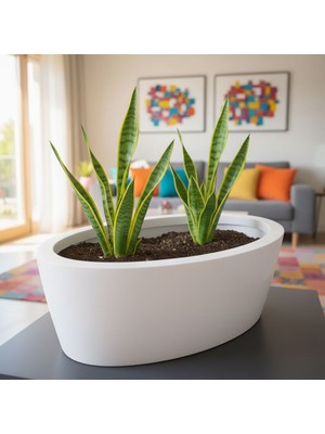 DEQQU Aura Elipso 40X30X20CM Elips Fiber Saksı Mat - Iç ve Dış Mekan Büyük Saksı