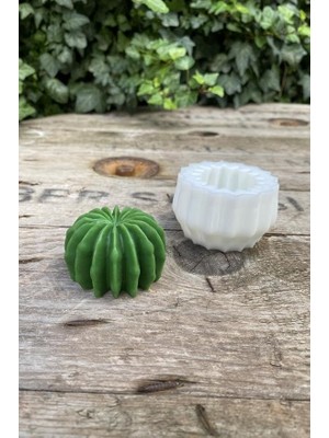 Sevimle Store Concept Ball Kaktüs Mum Kalıbı (Silikon)