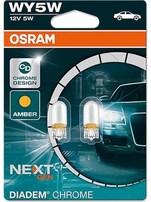 Sevimle Store T10 WY5W 12V 5W Dipsiz Krom Diadem