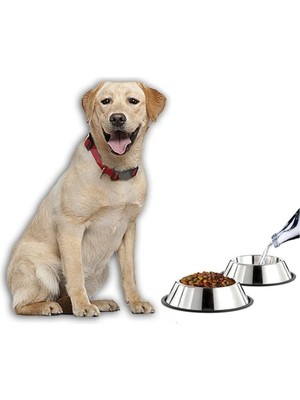 Ttt Paslanmaz Çelik Metal Mama Kabı 34 Cm.