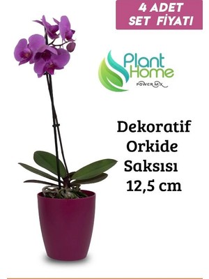 Dekoratif Vişne Orkide Saksısı - 4 Adet Set Fiyatlı - 12 Pot Üretim Saksısına Uygun Kaliteli Ürün