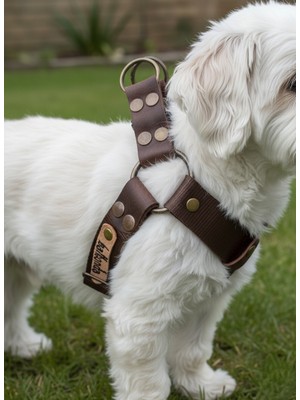 Balkonda Köpek Göğüs Tasması Minik & Küçük ve Orta & Büyük Irk Ayarlamalı Kolon Kordon ve Nubuk Deri Koyu Kahverengi