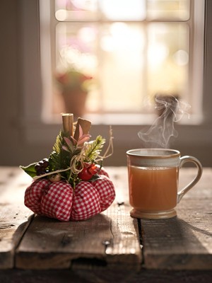 Florivya Design Sıcacık Sonbahar Anı Puantiyeli El Yapımı Balkabağı Masa Dekoru