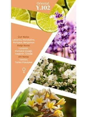 Mad Y102 Selective Eau De Parfum (Edp) 50 ml Kadın Parfüm – Lavanta, Orkide ve Vanilya ile Taze ve Kalıcı Oryantal Parfüm