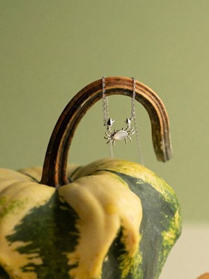 925 Ayar Gümüş Yengeç Kolye | Silveria Jewels