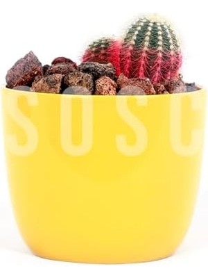 Kırmızı Pomza Taşı 2-3 cm Volkanik Cürüf Ponza Lav Kırığı 5 Lt