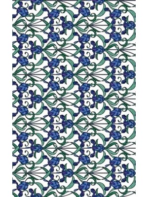 Yapışkanlı Folyo, Y Minster