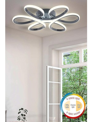 Modern Füme Plafonyer, 3 Renk LED Aydınlatmalı, Şık ve Şık Tasarım