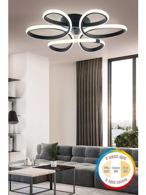 Modern Siyah Plafonyer Tavan Aydınlatması, 3 Renk LED Işık