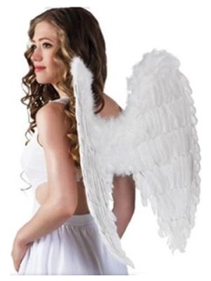 SHC4200 Melek Kanadı Kostümü