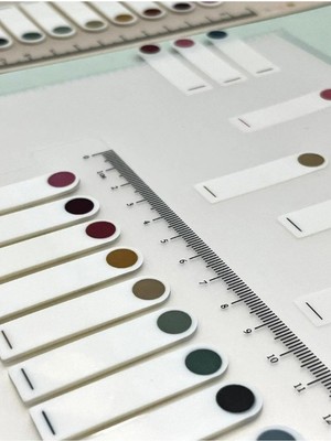 Kağıt Gemi Dükkan 10 Renkli Cetvelli Şeffaf  Indeks Sayfa Sticker Yuvarlak Kenar Retro Renkler / Postit