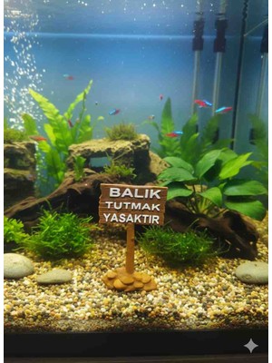 etkrtl Akvaryum Tabela Dekoru 8x5 cm 3'lü Set Gönderim