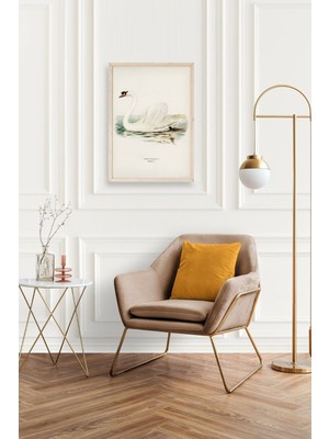 Marsilyan Kuğu Ahşap Çerçeveli Tablo 50 x 70