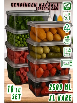 Ezupack 2,5 Lt XL Kare Kendinden Kapaklı Saklama Kabı Mikrodalga ve Derin Dondurucu İçin Pratik Kullanım