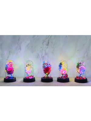 Evolvera Işıklı Müzikli Romantik Büyük Gül  ALK4998