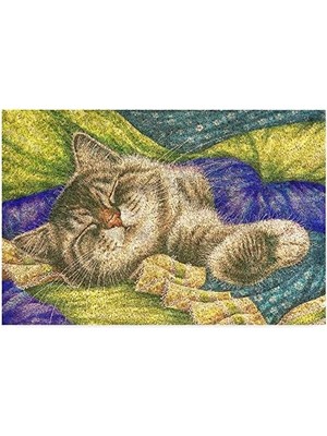 Tasarımlı Dekoratif Kapı Önü Paspas, Dış Mekan/ev Içi/banyo/mutfak/yatak Odası/giriş Paspasları (Pastel Boyama Cat, 45X70)