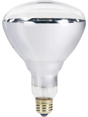 250W Infrared Şeffaf Ampul E27