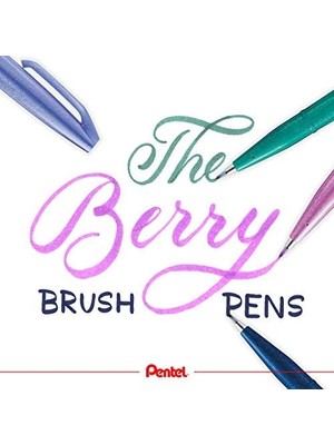 Sing Pen Brush - 4'lü Blister (CAX-V2X-P2X-D3X)