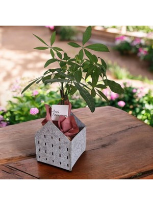 Dekoratif Keçe Saksı ve Organizer Sepet – Gri, 20X20X25 Cm, 3 mm Kalınlıkta Çok Amaçlı Keçe Saklama Kutusu (1 Adet)