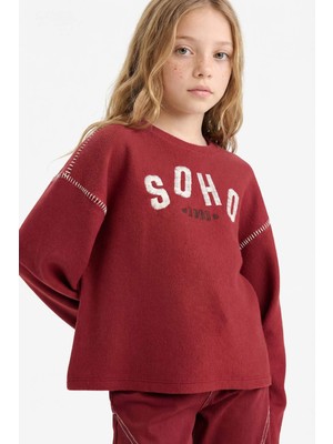 DeFacto Kız Çocuk Overshirt Fit Bisiklet Yaka Baskılı Uzun Kollu Tişört G6886A826SP