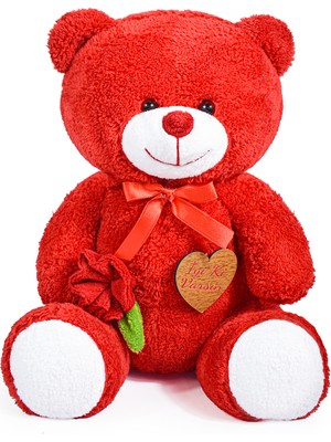 Özgüner Oyuncak 70 cm Gül Tutan İyi Ki varsın Sevimli Ayıcık