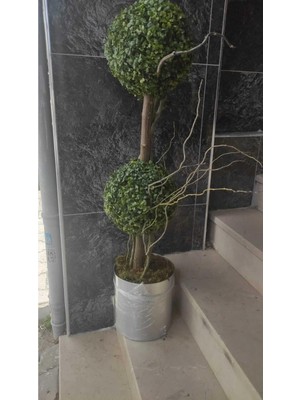 Erhan Flowers Yapay Ağaç Şimşir Toplar 2 Adet 30×30 Metal Saksıda
