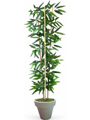 Dekoratif Yapay Yapraklı 3 Gövde Bambu Ağacı 190 cm   Bambu Beyaz Plastık Saksı