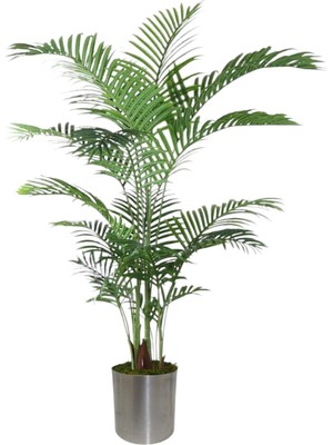 Yapay Ağaç Areka 150CM Metal Saksı