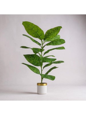 Erhan Flowers Yapay Çiçek Difenbahya Tropik 23 Yapraklı 85 cm Salon Çiçeği Beyaz Gold Mını Darbuka Saksılı