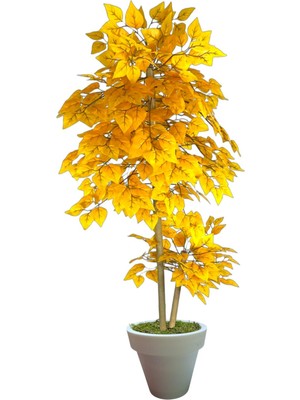 Erhan Flowers 160 cm Dut Ağaç