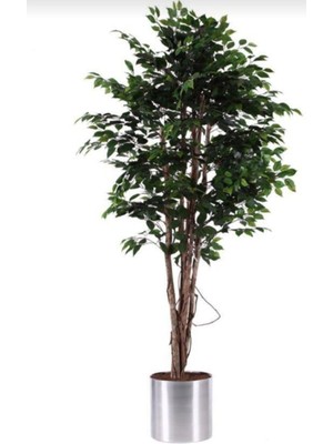 Erhan Flowers Yapay Agaç 4 Gövdeli Bemjamin 190 cm