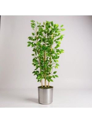 Erhan Flowers Yapay Benjamin Ağacı 140CM Bambu 3 Gövdeli
