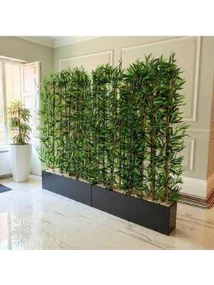 Erhan Flowers 165 cm Saksıda 150 cm 66 Adet Bambu Speratör Siyah Mat Saksıda