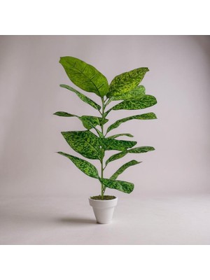 Erhan Flowers Yapay Çiçek Difenbahya Tropik 23 Yapraklı 85 cm Salon Çiçeği Beyaz Plastik Saksılı