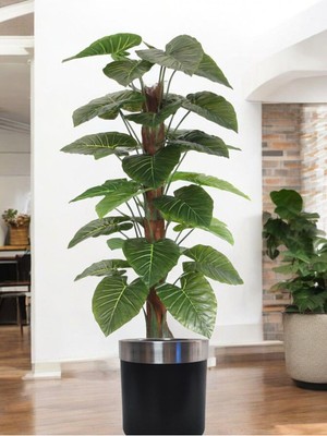 Yapay 170 cm Alocosia Yapay Agaç 1.kalite