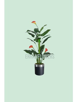 Yapay Ağaç Gala Ağacı Salon Bitkisi 160CM 20 Yaprak Siyah Gümüş Saksıda