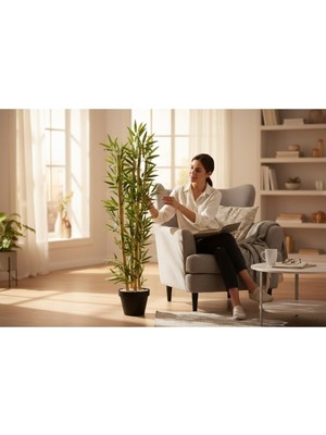 Erhan Flowers 150 cm 5 Adet Bambulu Siyah Plastik Saksıda Ağaç