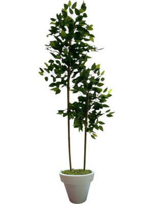 120 cm Benjamin 2 Çubuklu Beyaz Plastik Saksı