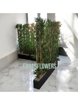 260 cm Saksıda Bambu Speratör