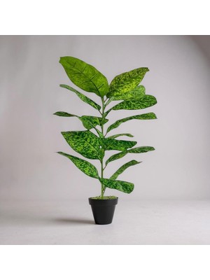 Erhan Flowers Yapay Çiçek Difenbahya Tropik 23 Yapraklı 85 cm Salon Çiçeği Siyah Plastik Saksılı