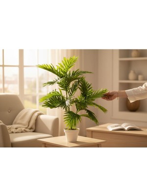 Erhan Flowers Yapay Çiçek Areka Palmiye Ağacı 100 cm Salon Çiçeği Yapay Bitki Saksı Beyaz Plastik