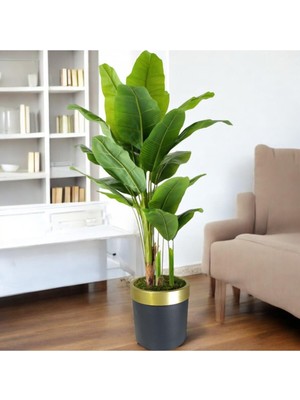 Erhan Flowers Yapay Muz Ağaçı 21 Yaprak Islak Doku Gerçege Yakın Görünüm Siyah Gold Saksı