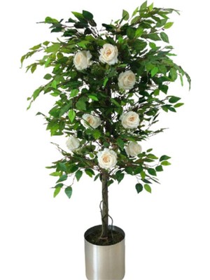 Erhan Flowers 150 cm Beyaz Gül Ağacı